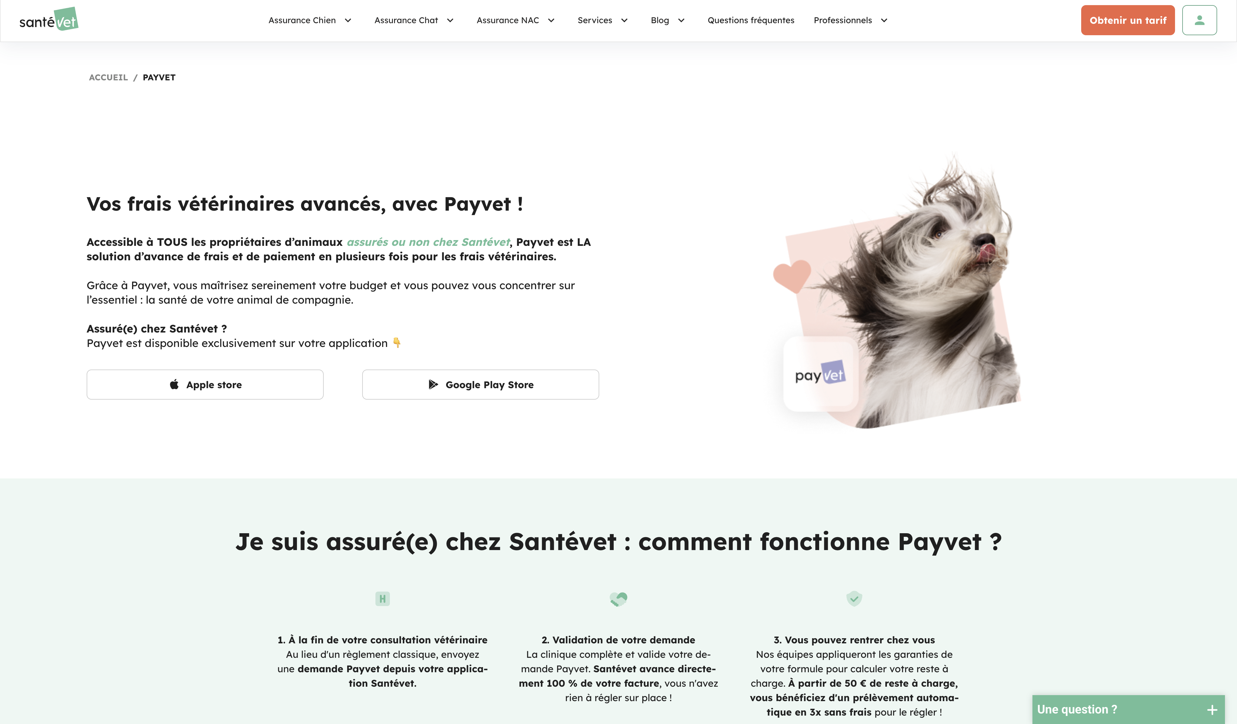 /_nuxt/payvet-bright.DGO5yg8t.png