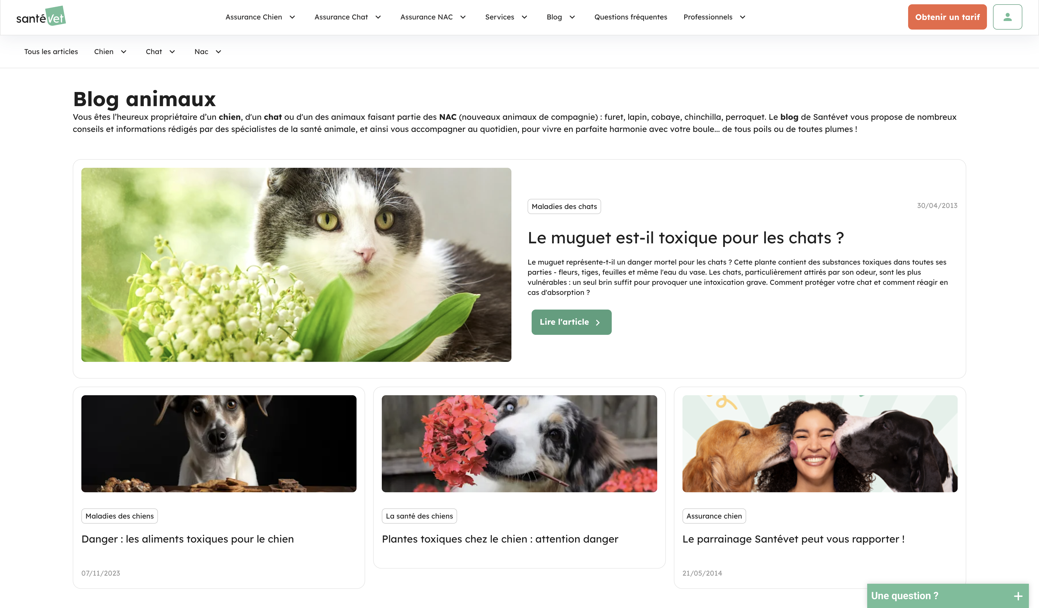 /_nuxt/santevet-bright-blog.gQYV_KRy.png