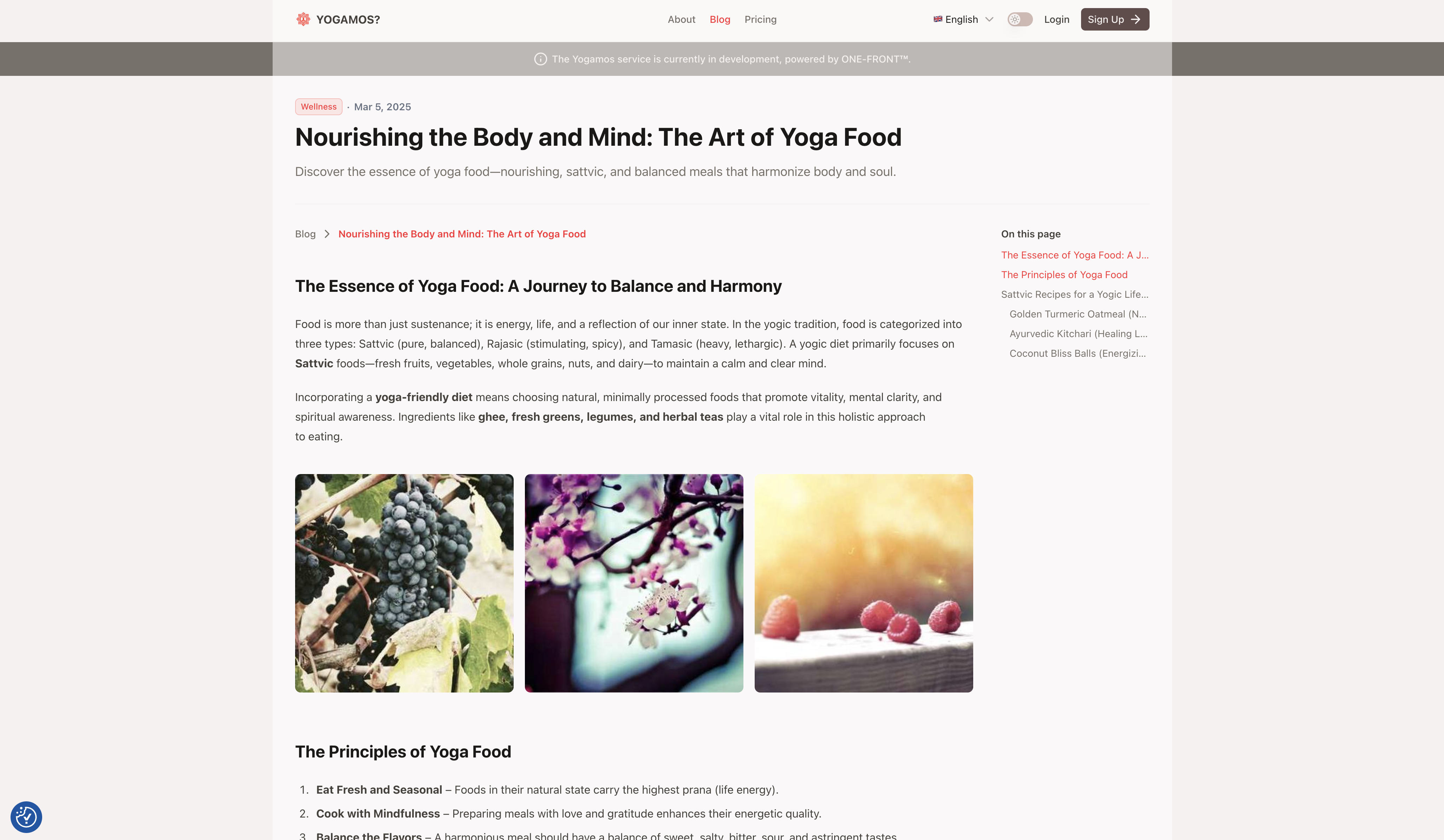 /_nuxt/yogamos-bright-3.DKQDvd8h.png